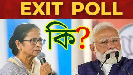 Exit Poll. What is exit poll?