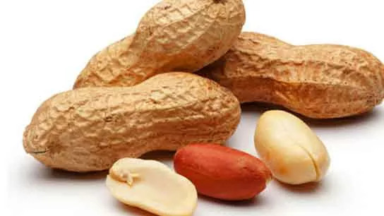 Peanut (Ground Nut)