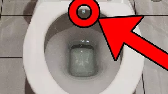 Hidden Camera in Toilet1