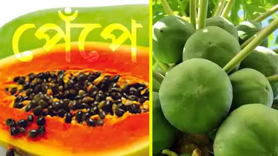 Papaya Health Benefits