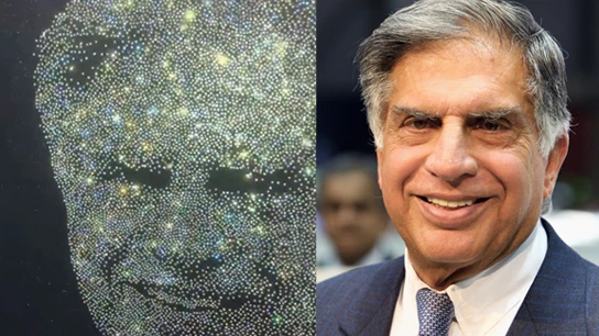 Ratan Tata's Diamond Portrait