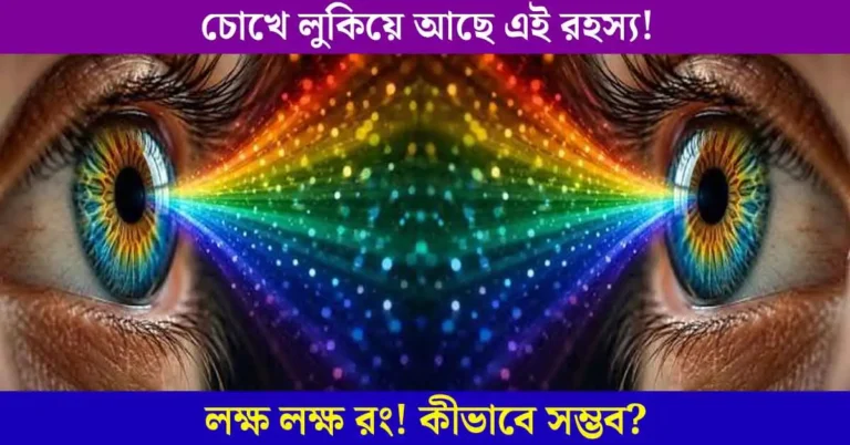 মানুষের চোখ লক্ষ লক্ষ রং দেখতে পারে! চোখের এই ক্ষমতার রহস্য কী?
