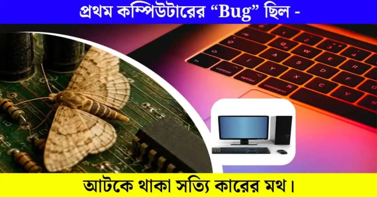 প্রথম Computer Bug ছিল সত্যিকারের পোকা! কম্পিউটারের ইতিহাসের মজার ঘটনা